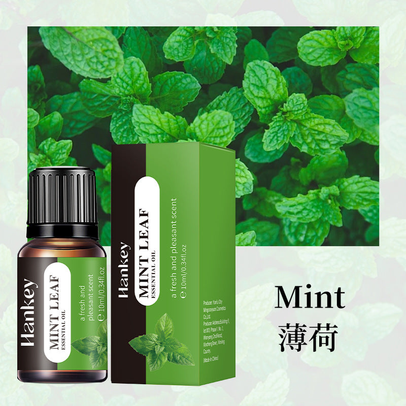 Cross-border foreign trade aromatherapy essential oil indoor long-lasting fragrance air fresh water-soluble aromatherapy plant essential oil wholesale