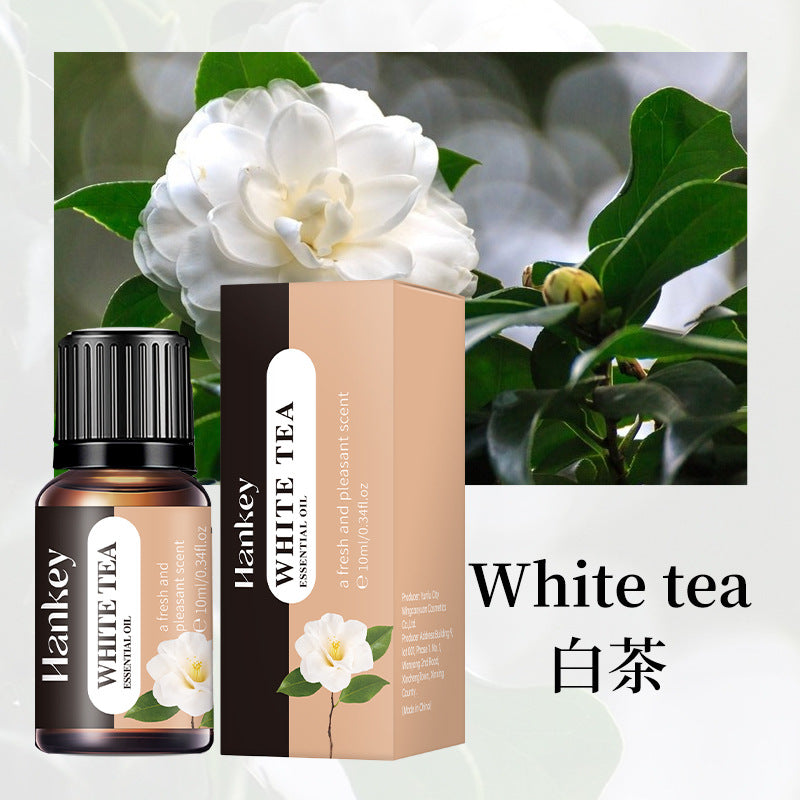 Cross-border foreign trade aromatherapy essential oil indoor long-lasting fragrance air fresh water-soluble aromatherapy plant essential oil wholesale