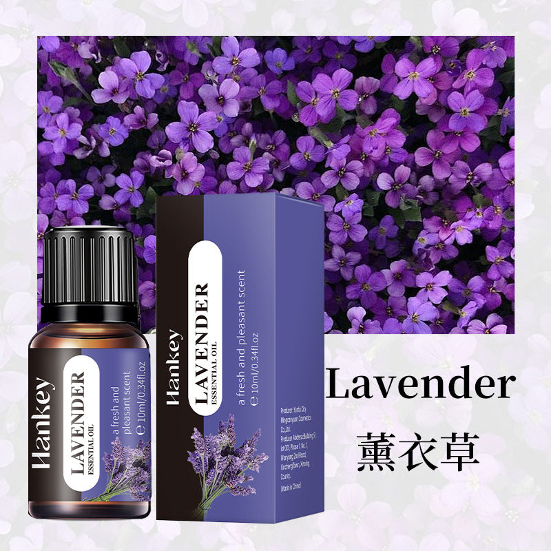 Cross-border foreign trade aromatherapy essential oil indoor long-lasting fragrance air fresh water-soluble aromatherapy plant essential oil wholesale