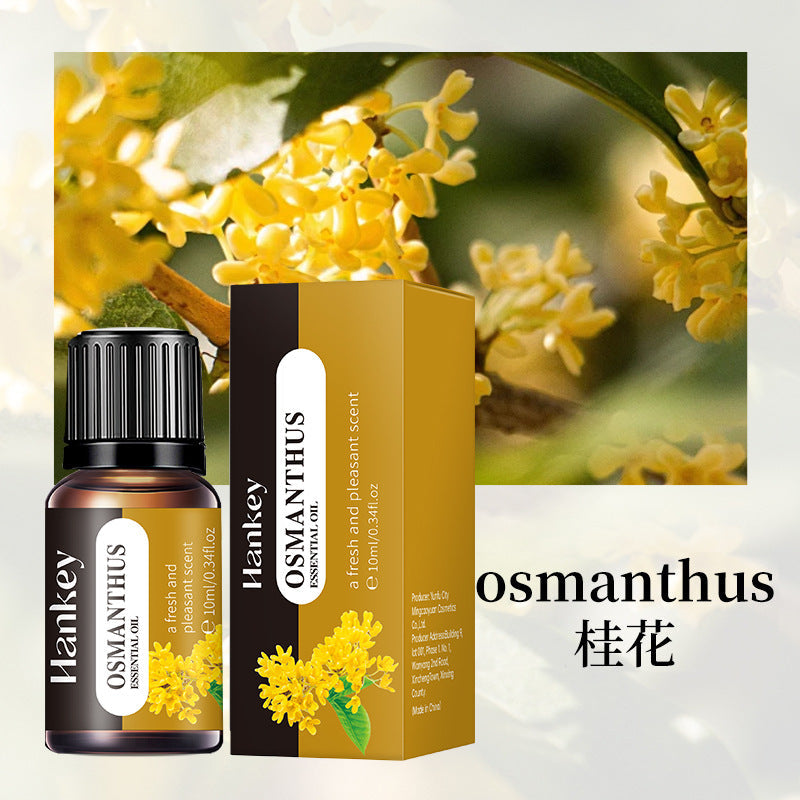 Cross-border foreign trade aromatherapy essential oil indoor long-lasting fragrance air fresh water-soluble aromatherapy plant essential oil wholesale